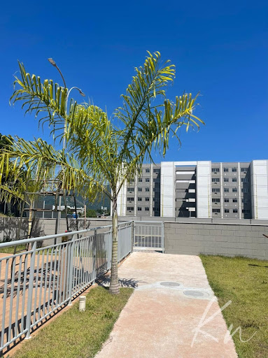Imagens do imóveis Excelente Apartamento 48m²  2 Quartos 1 vaga