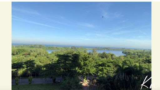Imagens do imóveis Apartamento para locação Barra da Tijuca