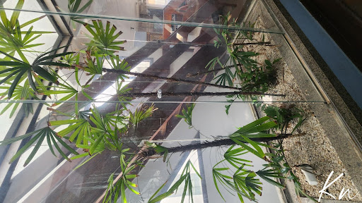 Imagens do imóveis Apartamento Cobertura em Barra da Tijuca  -  Rio de Janeiro