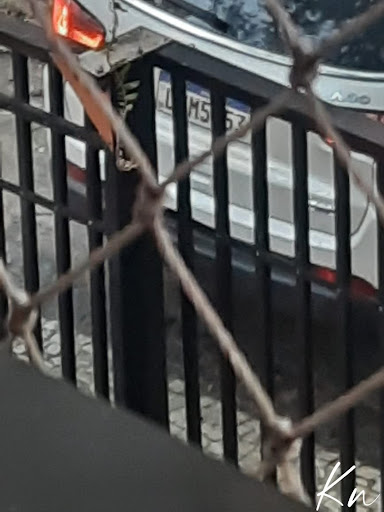 Imagens do imóveis Apartamentoá venda e para locação Barra da Tijuca
