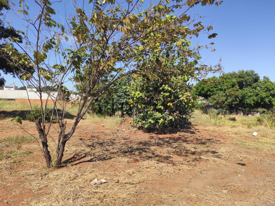 Imagens do imóveis Terreno Á Venda Jardim Mansur Campo Grande