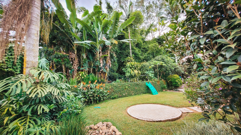 Imagens do imóveis Casa à venda com amplo terreno- Bairro Velha