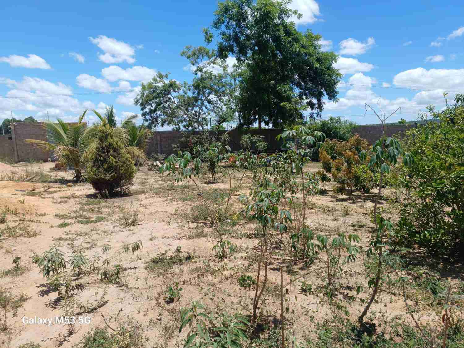 Sítio à Venda, zona Rural , São Sebastião do Passé, BA - zona Rural, São Sebastião do Passé
