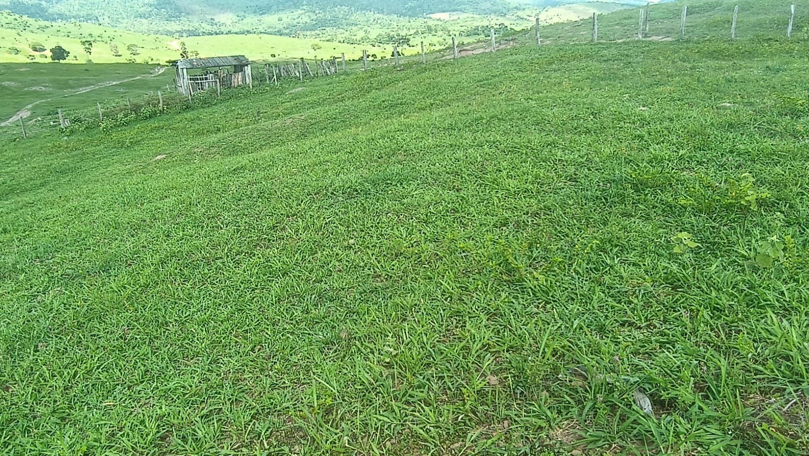 Fazenda à Venda, Zona , Caatiba, BA - Zona, Caatiba