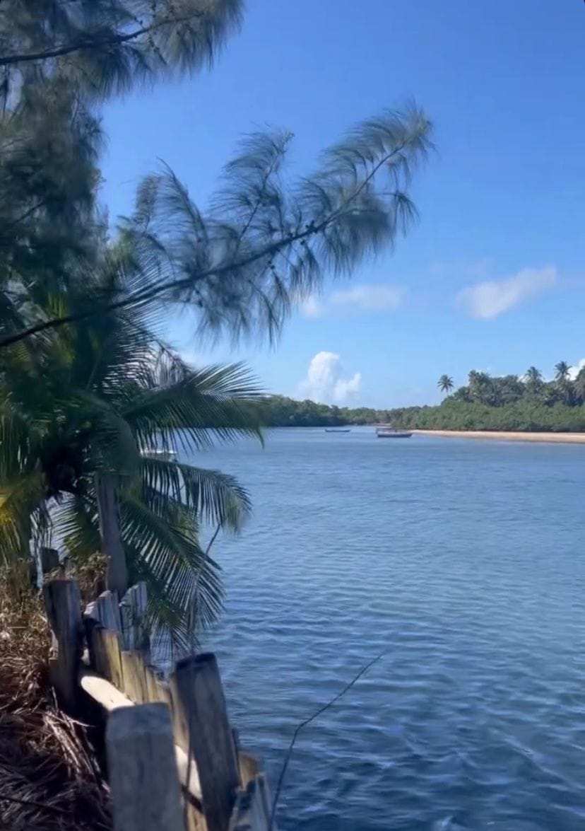 Terreno à venda, em Taipu de Fora, Península de Maraú, Barra Grande, um dos destinos mais cobiçados do Sul da Bahia. - Taipu de Fora, Maraú
