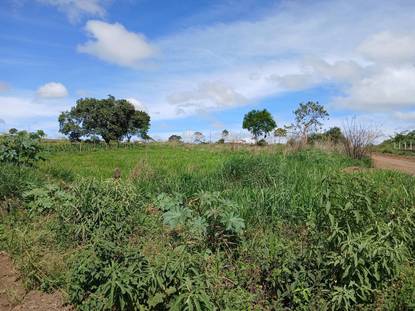 Lote 1000m² em Barra do Choça Ba. - foto 10