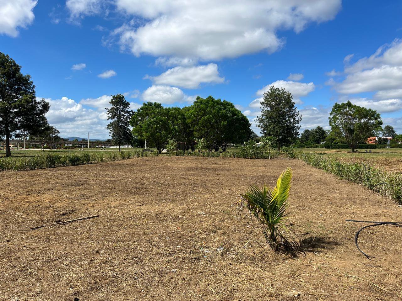 Oportunidade - Terreno de 800Mts no Haras Camping Club - foto 10