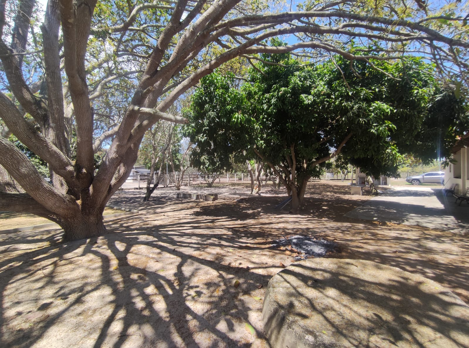 Sítio a venda na Lagoa das Flores com 2 casas, árvores frutíferas, poço artesiano, irrigação, baías para cavalos, tanque de peixe. Pertinho da ci - foto 11