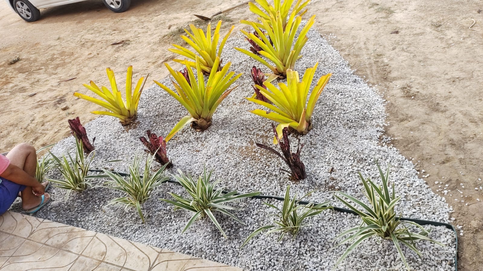 VENDO OU TROCO Sítio de 20 mil m² dentro de cond. fechado já com cerca, no Terra Estância das Rosas ao lado do Haras Residence  em Vitória da Con - foto 11