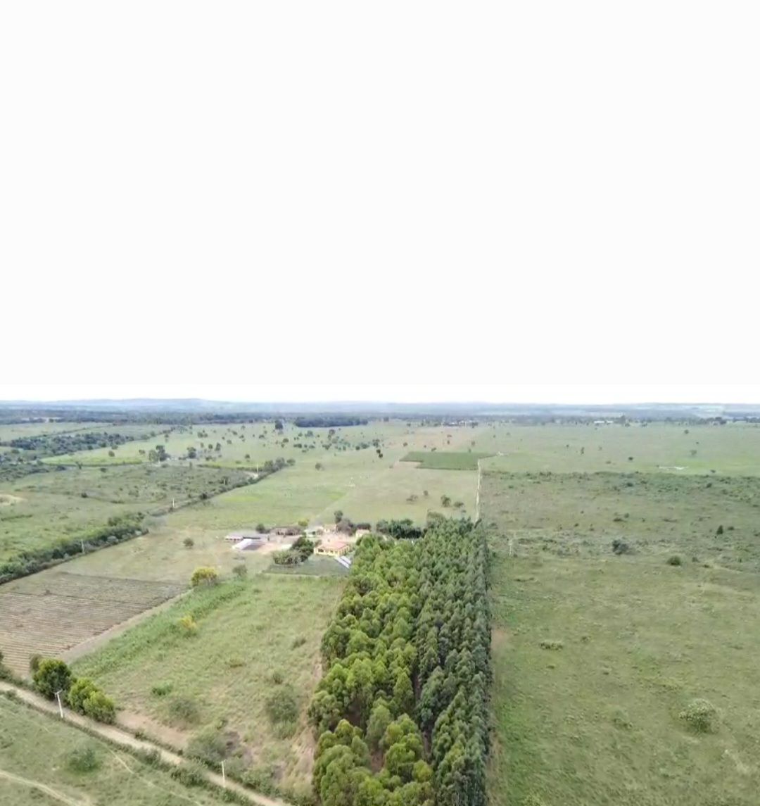Otima Fazenda à Venda, Zona Rural , Barra do Choça, BA - foto 11