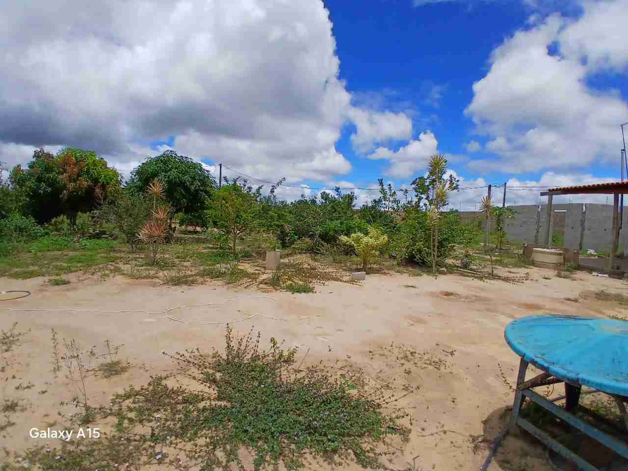 Sítio à Venda, zona Rural , São Sebastião do Passé, BA - foto 12