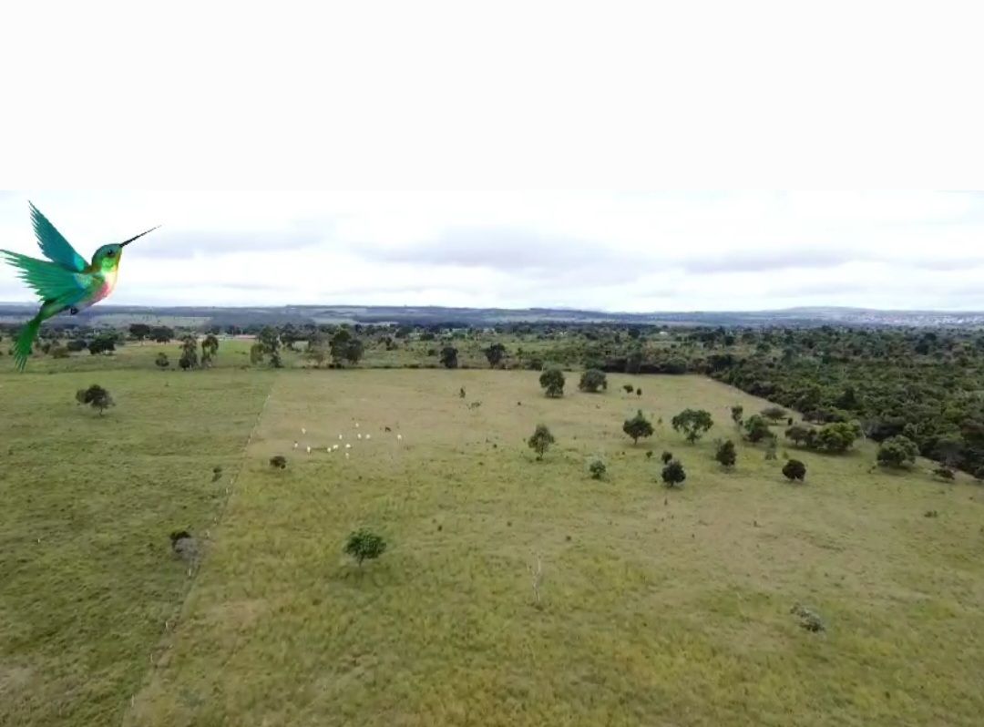 Otima Fazenda à Venda, Zona Rural , Barra do Choça, BA - foto 2
