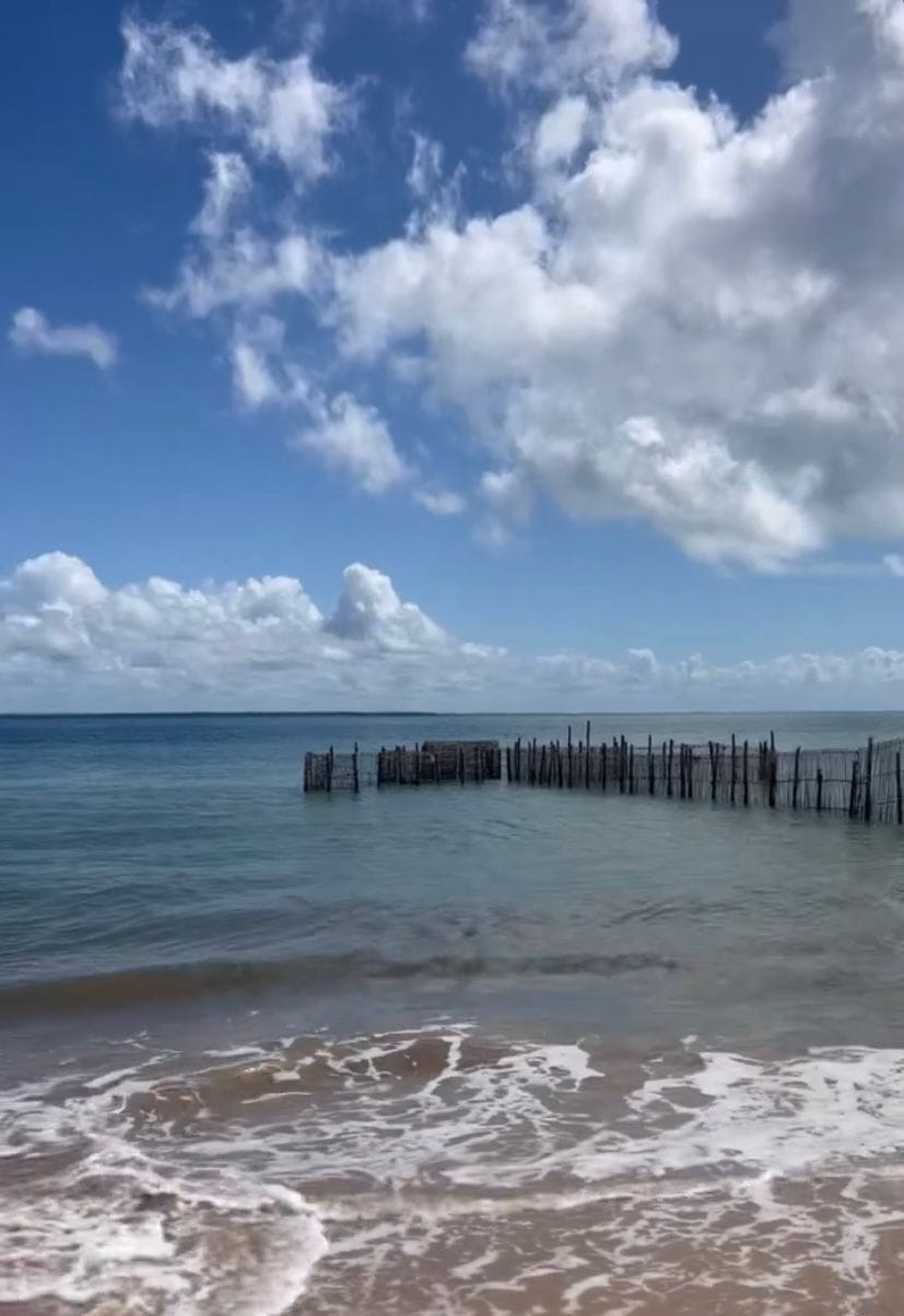 Terreno à venda, em Taipu de Fora, Península de Maraú, Barra Grande, um dos destinos mais cobiçados do Sul da Bahia. - foto 12