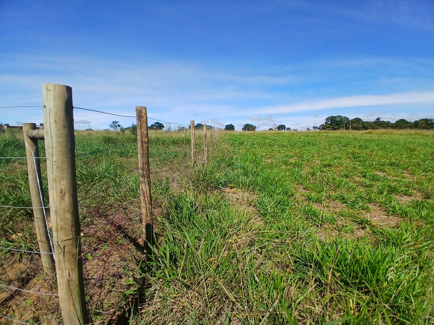 Lote 1000m² em Barra do Choça  Ba. - foto 1