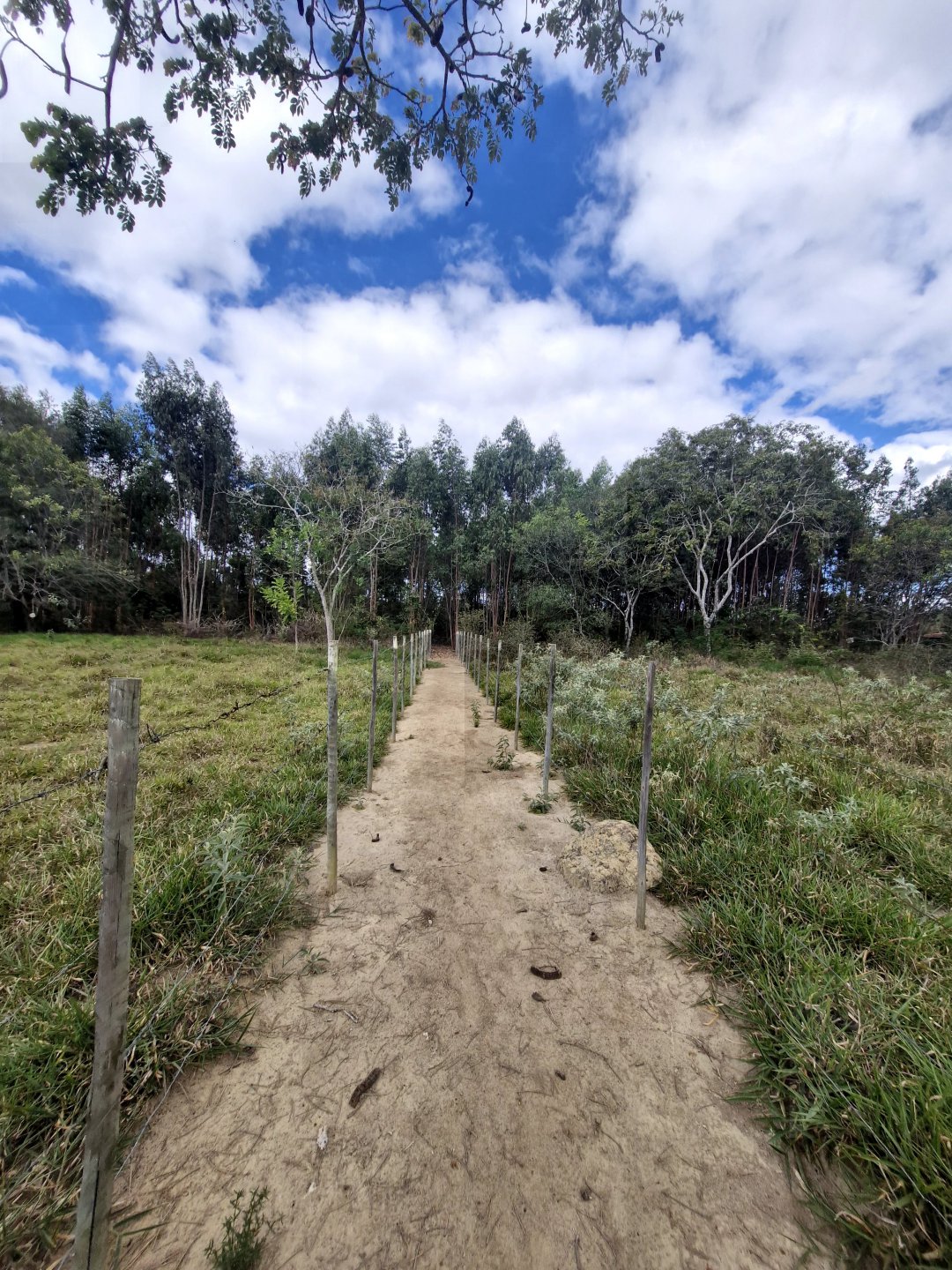 Lote à venda de 6.000m² No Parque Imperial - Espírito Santo, -