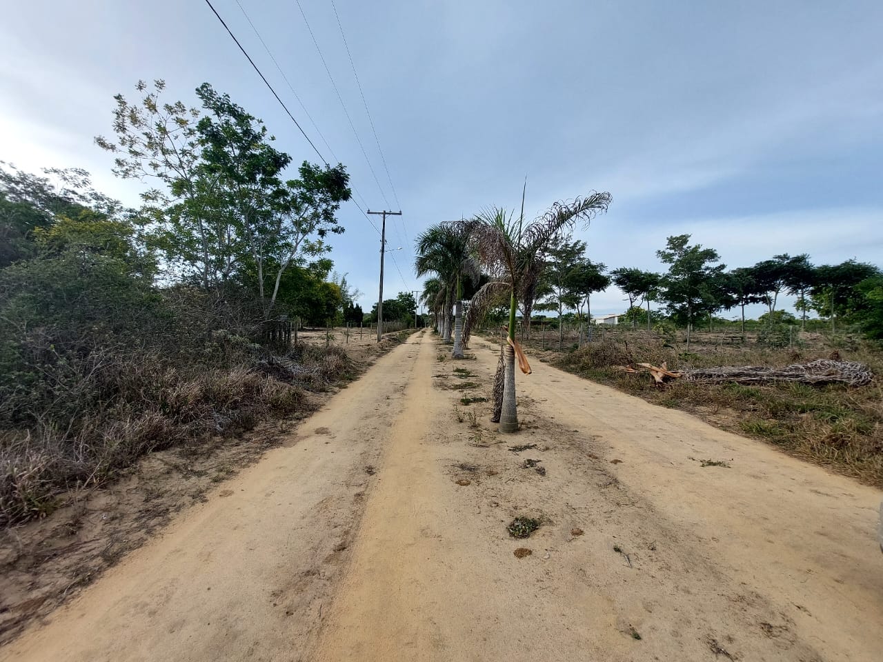 VENDO OU TROCO Sítio de 20 mil m² dentro de cond. fechado já com cerca, no Terra Estância das Rosas ao lado do Haras Residence  em Vitória da Con - foto 14