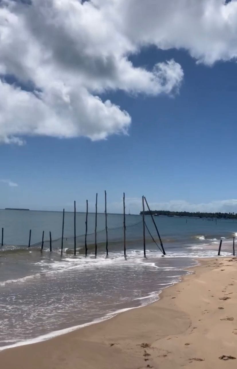 Terreno à venda, em Taipu de Fora, Península de Maraú, Barra Grande, um dos destinos mais cobiçados do Sul da Bahia. - foto 14