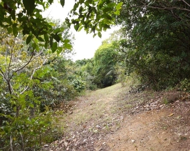 Chácara à venda, Nova Abrantes (Abrantes), Camaçari, BA - foto 2