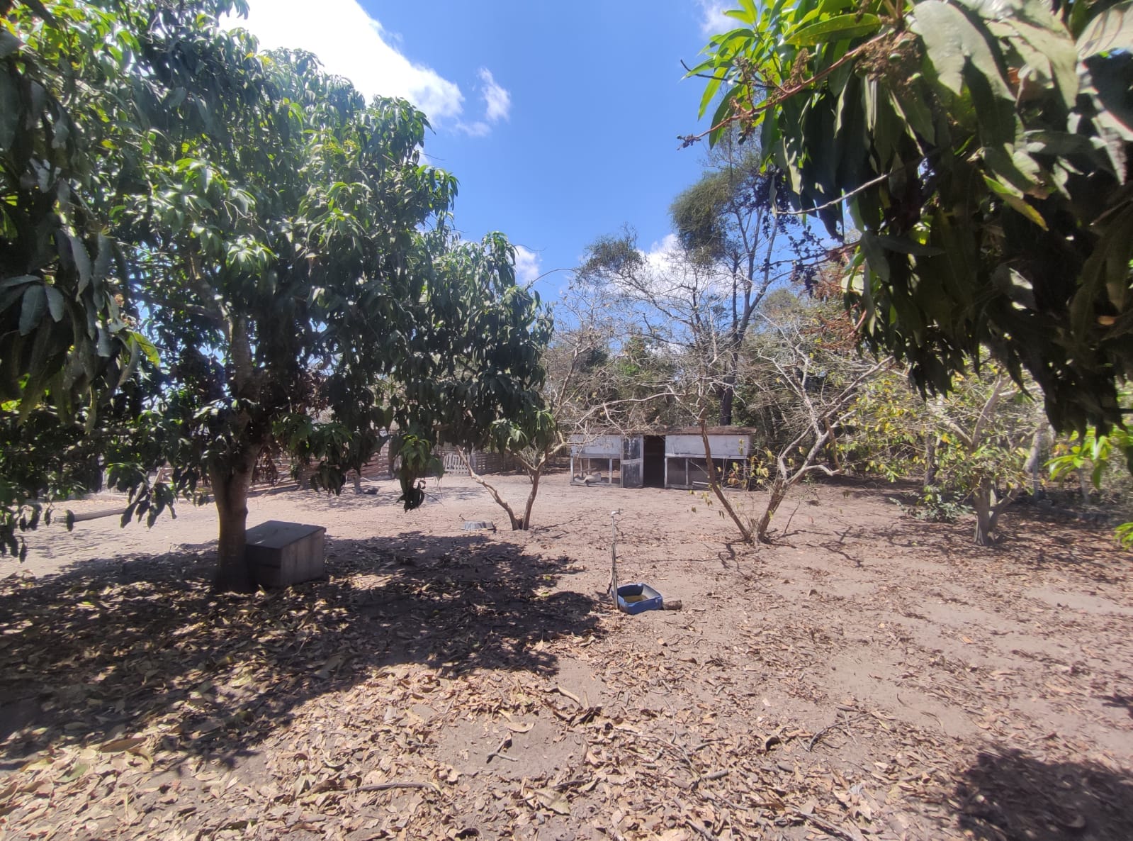 Sítio a venda na Lagoa das Flores com 2 casas, árvores frutíferas, poço artesiano, irrigação, baías para cavalos, tanque de peixe. Pertinho da ci - foto 14