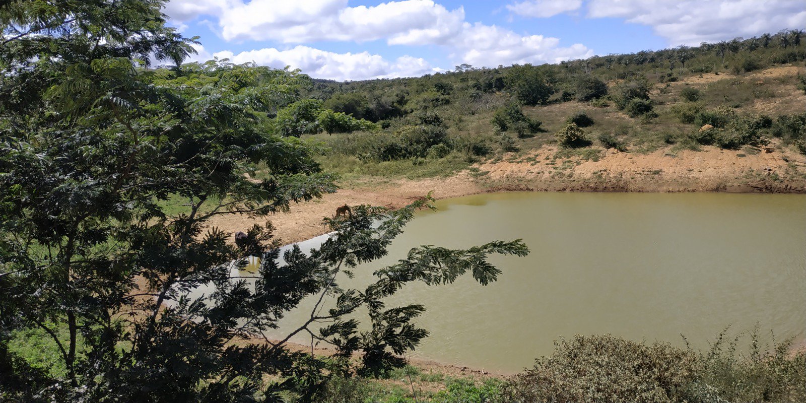 Fazenda a Venda Região do Morro do Chapéu - foto 14