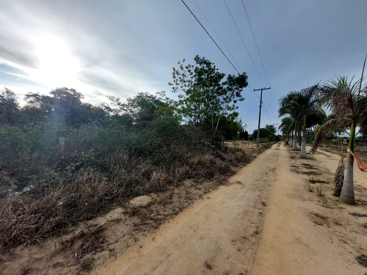 VENDO OU TROCO Sítio de 20 mil m² dentro de cond. fechado já com cerca, no Terra Estância das Rosas ao lado do Haras Residence  em Vitória da Con - foto 15