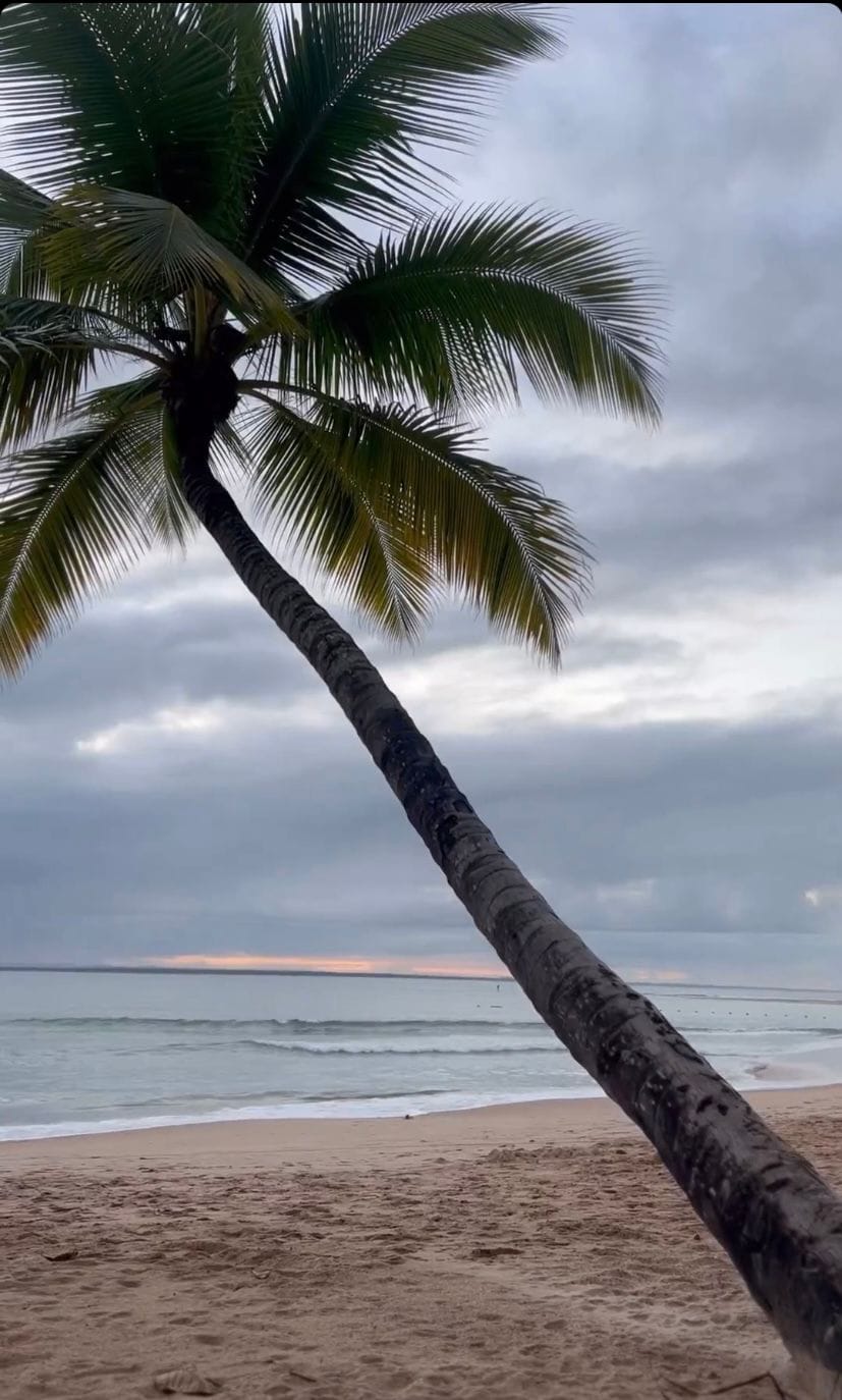 Terreno à venda, em Taipu de Fora, Península de Maraú, Barra Grande, um dos destinos mais cobiçados do Sul da Bahia. - foto 16