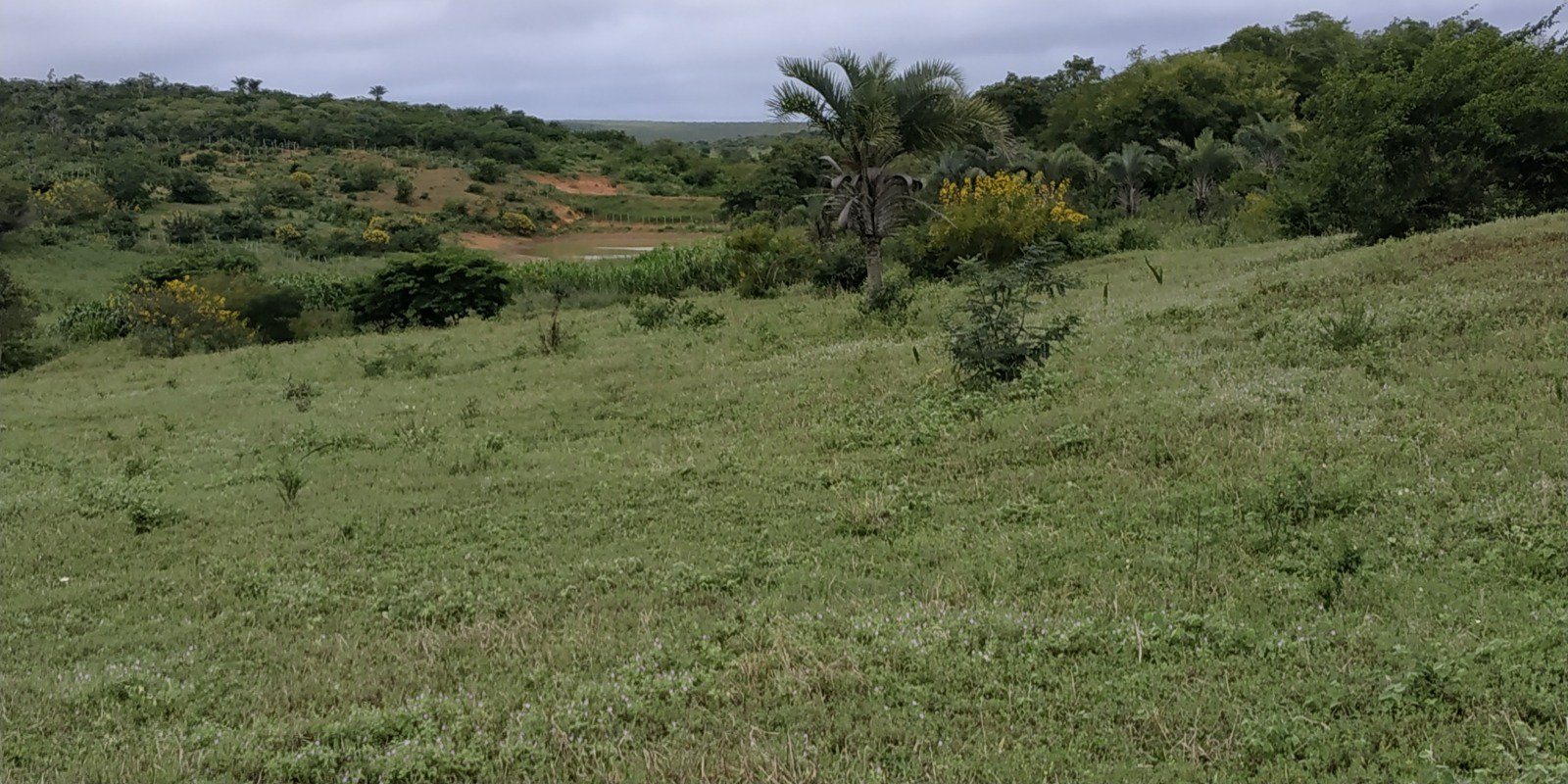 Fazenda a Venda Região do Morro do Chapéu - foto 15
