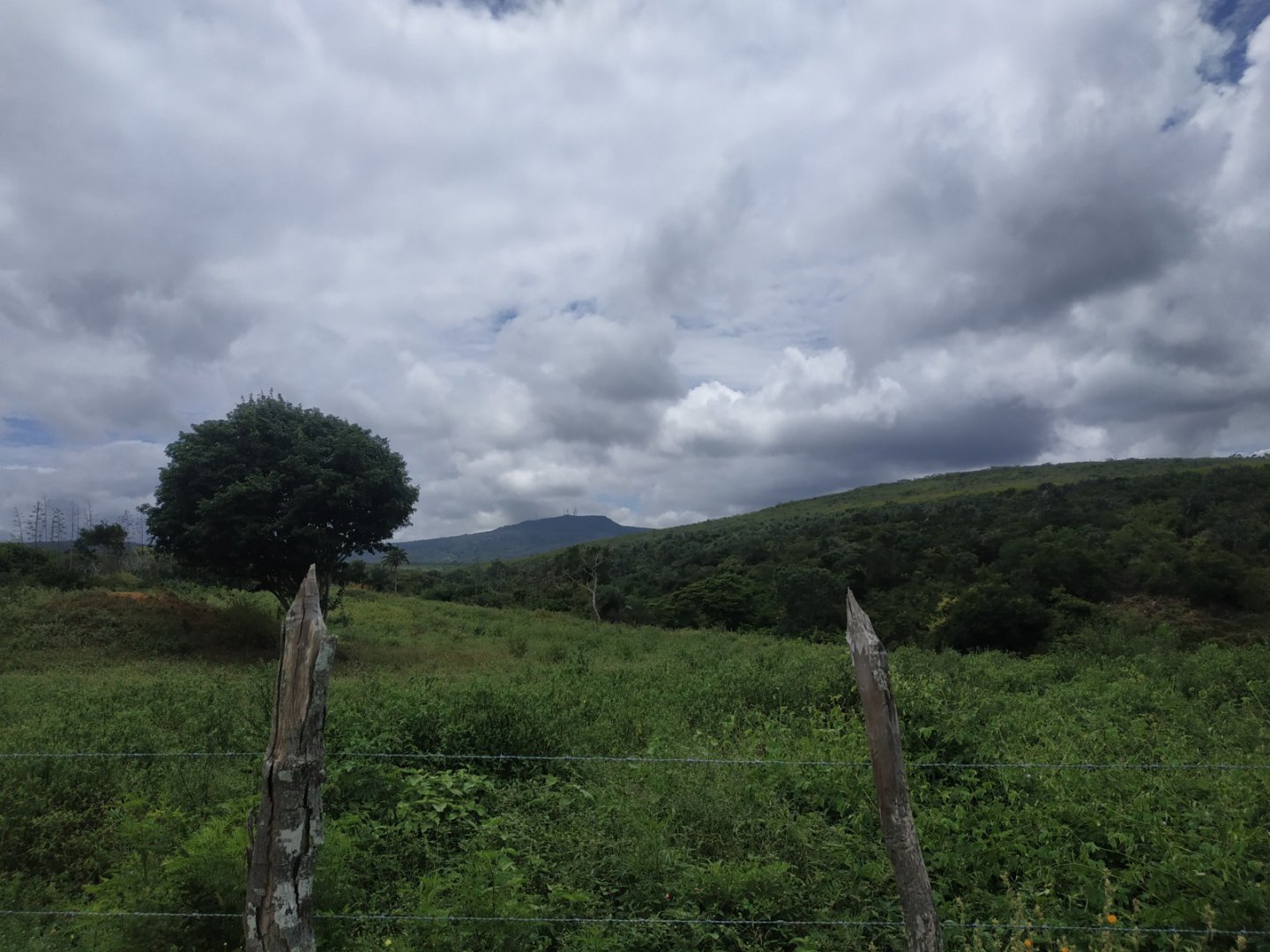 Fazenda a Venda Região do Morro do Chapéu - foto 16