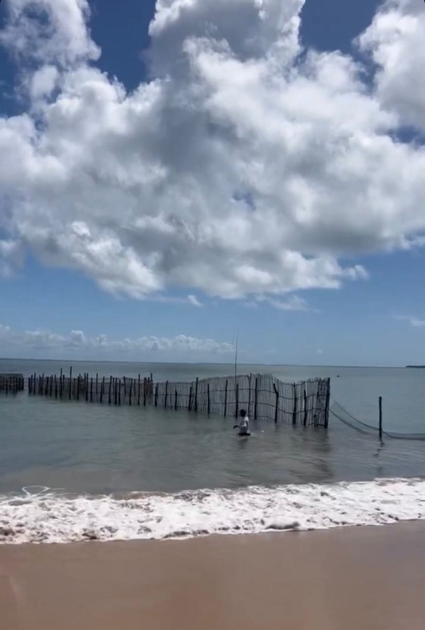Terreno à venda, em Taipu de Fora, Península de Maraú, Barra Grande, um dos destinos mais cobiçados do Sul da Bahia. - foto 17