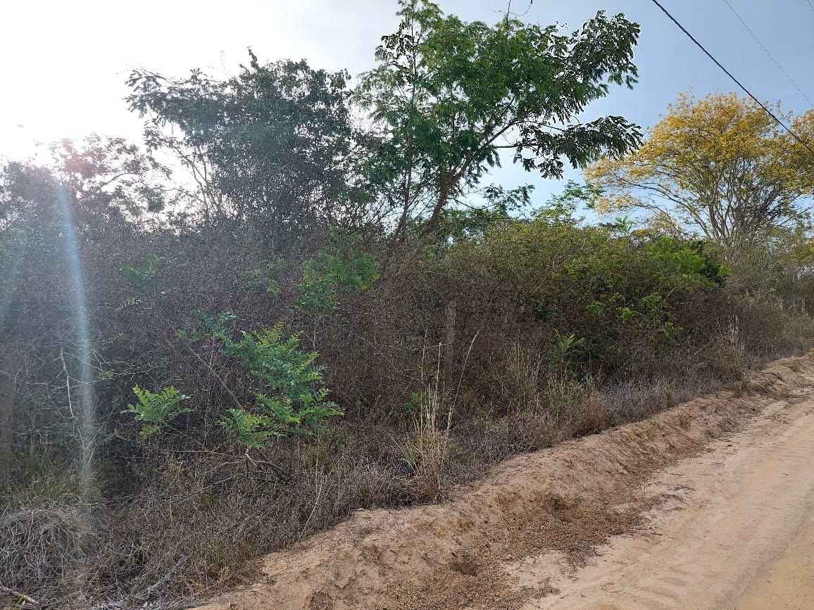 VENDO OU TROCO Sítio de 20 mil m² dentro de cond. fechado já com cerca, no Terra Estância das Rosas ao lado do Haras Residence  em Vitória da Con - foto 17