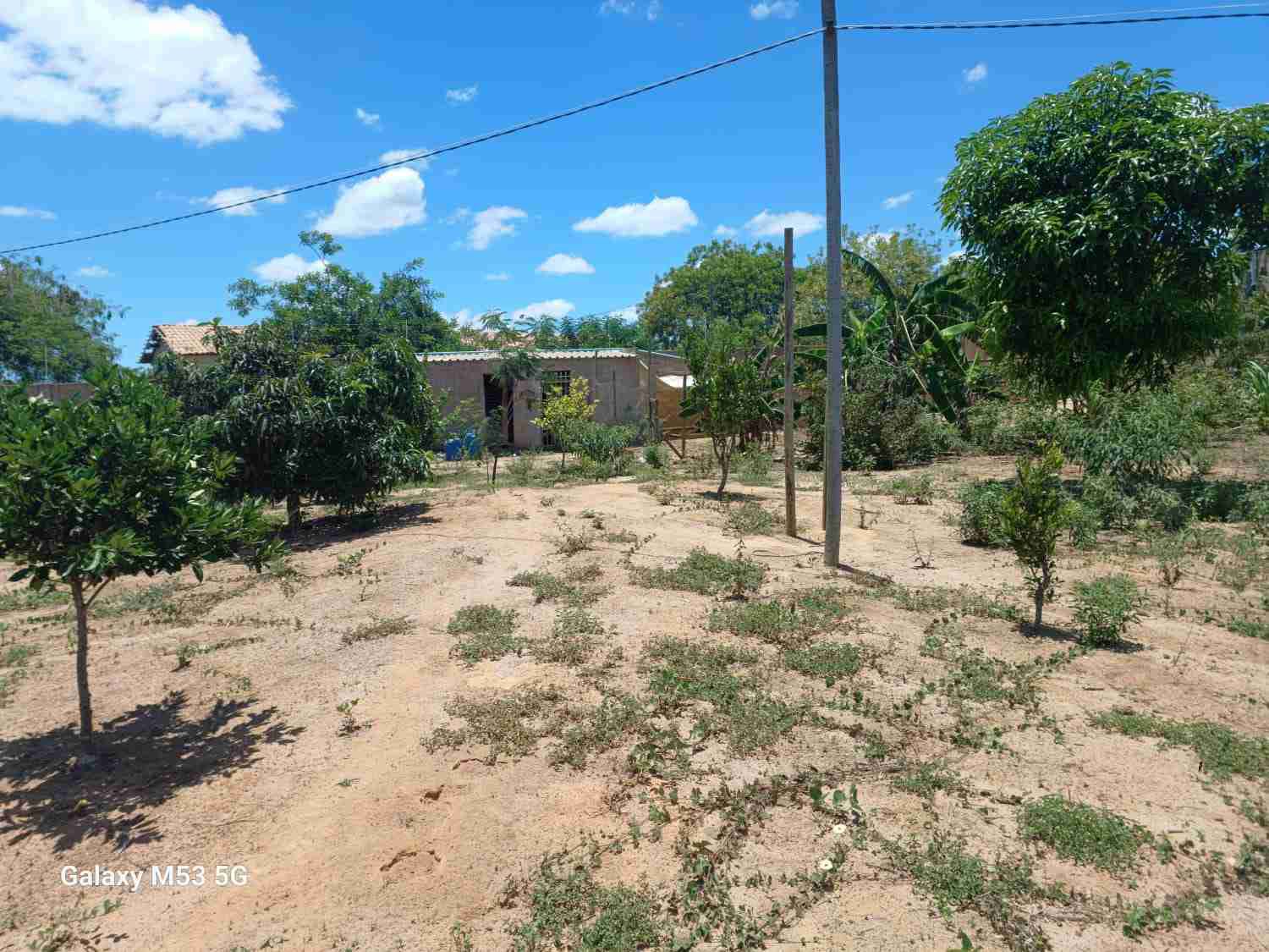 Sítio à Venda, zona Rural , São Sebastião do Passé, BA - foto 2