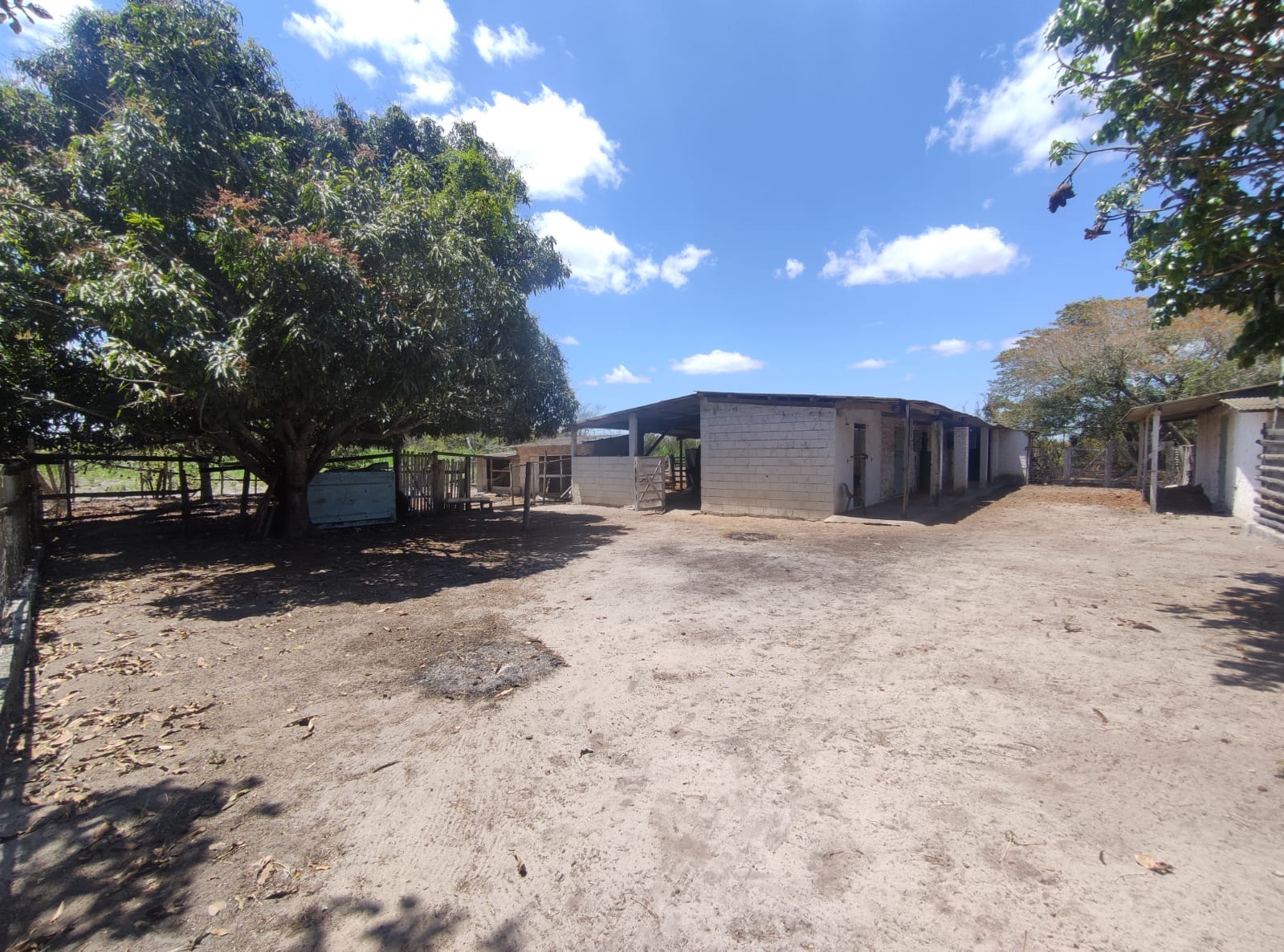 Sítio a venda na Lagoa das Flores com 2 casas, árvores frutíferas, poço artesiano, irrigação, baías para cavalos, tanque de peixe. Pertinho da ci - foto 17