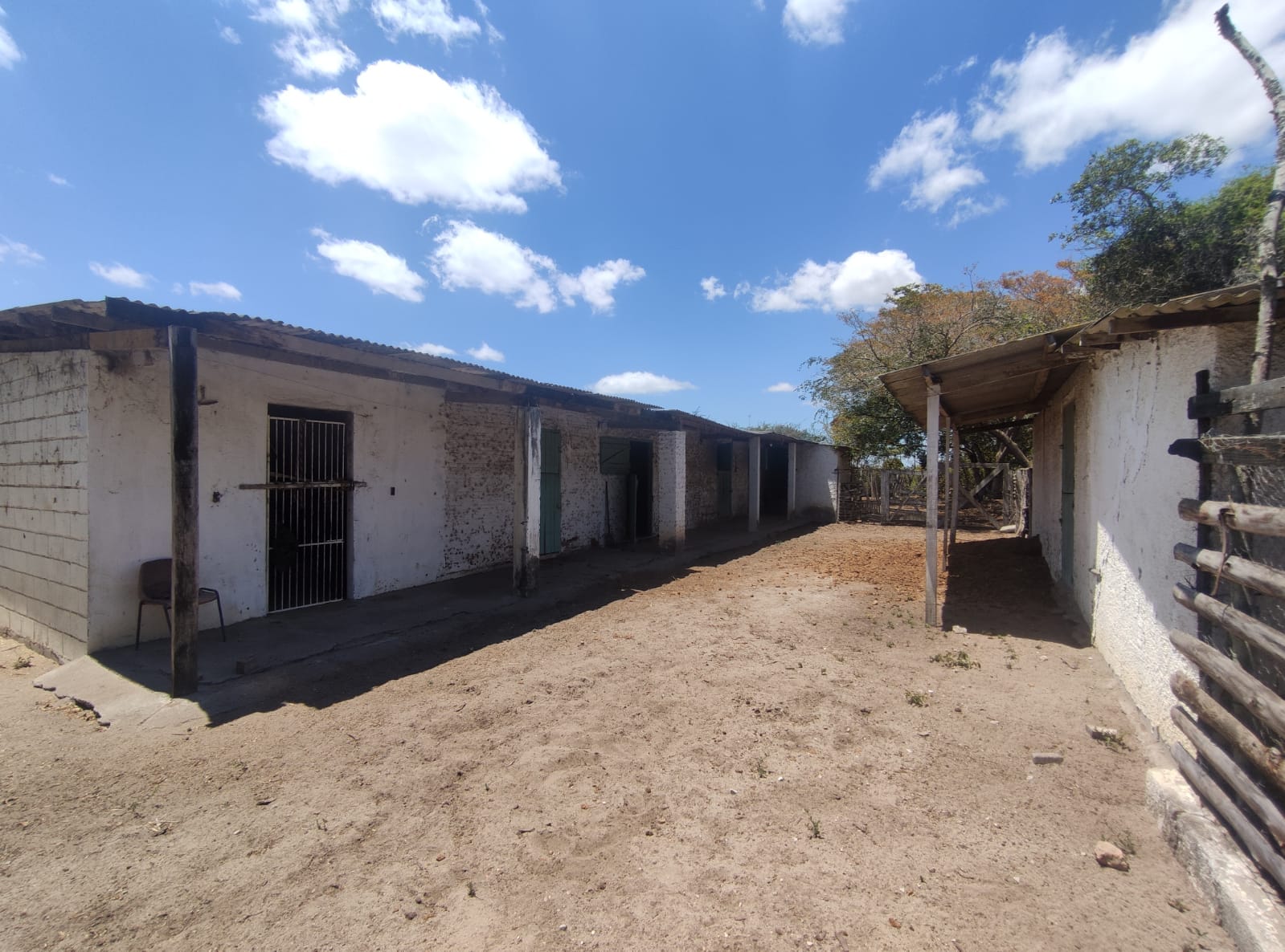 Sítio a venda na Lagoa das Flores com 2 casas, árvores frutíferas, poço artesiano, irrigação, baías para cavalos, tanque de peixe. Pertinho da ci - foto 18