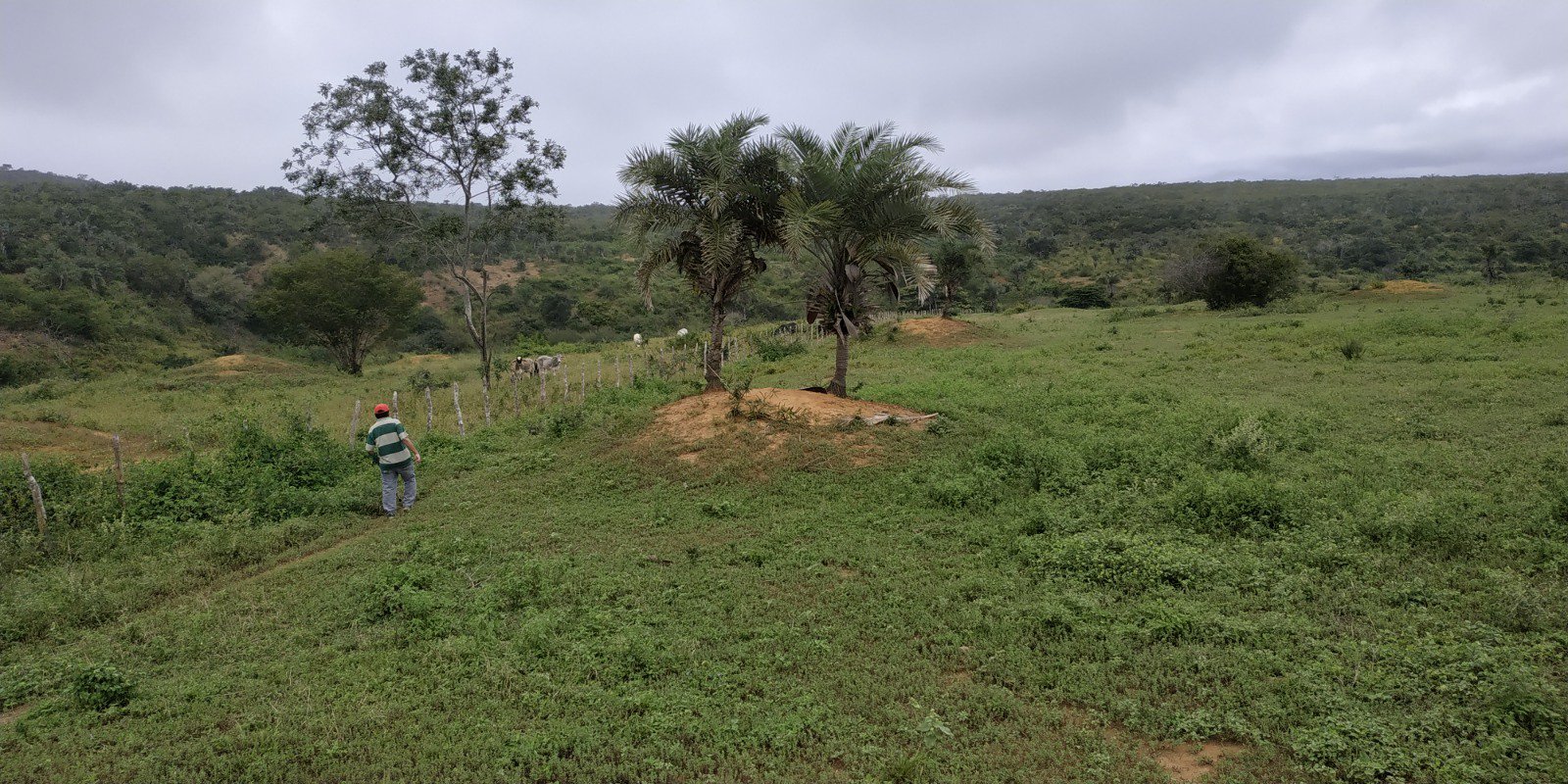 Fazenda a Venda Região do Morro do Chapéu - foto 17