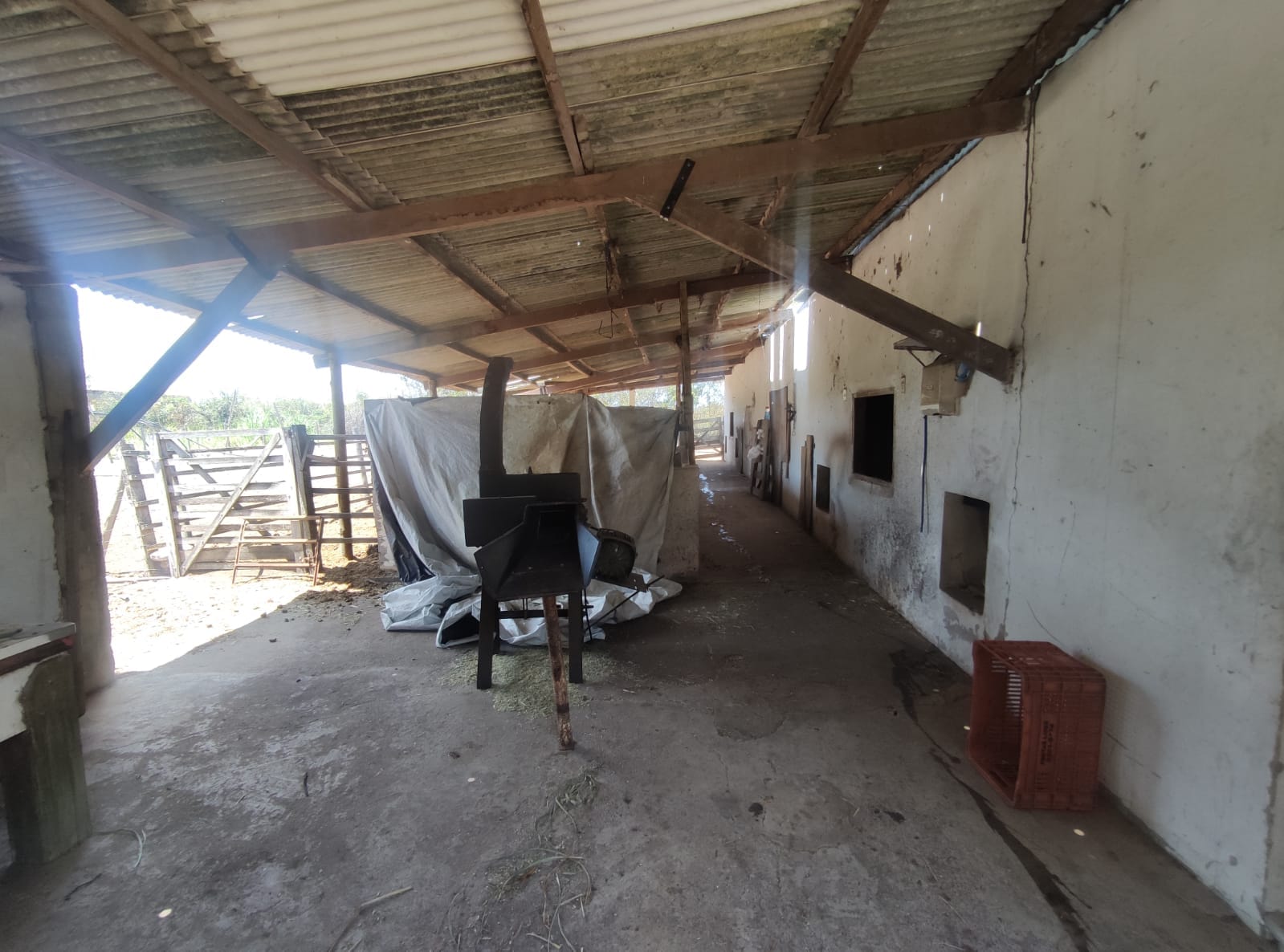 Sítio a venda na Lagoa das Flores com 2 casas, árvores frutíferas, poço artesiano, irrigação, baías para cavalos, tanque de peixe. Pertinho da ci - foto 19