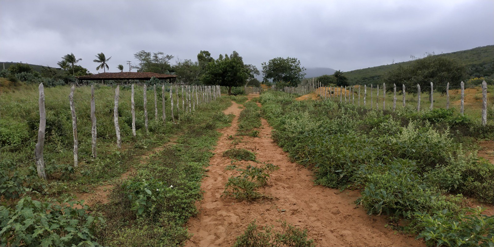 Fazenda a Venda Região do Morro do Chapéu - foto 18