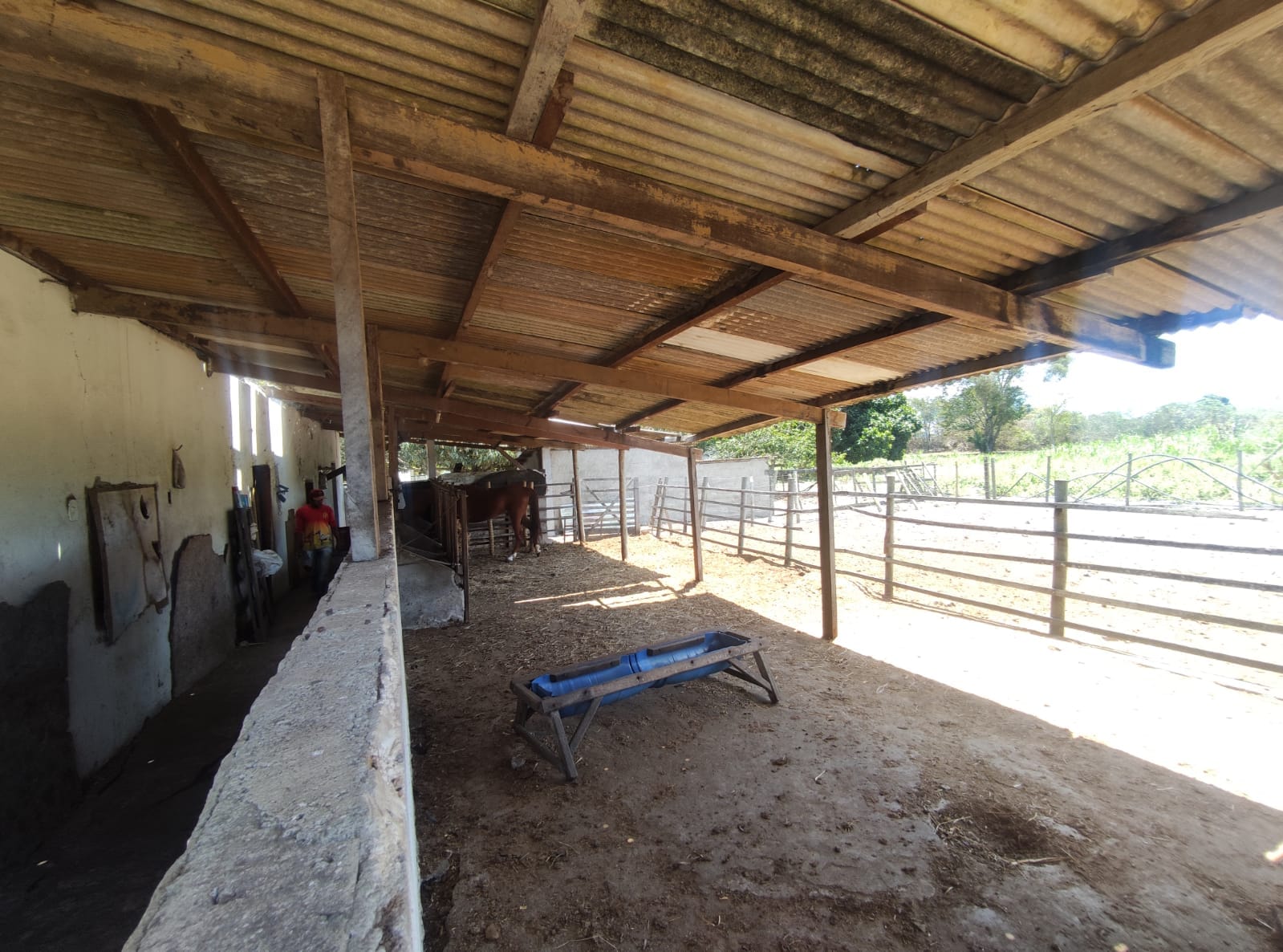 Sítio a venda na Lagoa das Flores com 2 casas, árvores frutíferas, poço artesiano, irrigação, baías para cavalos, tanque de peixe. Pertinho da ci - foto 20