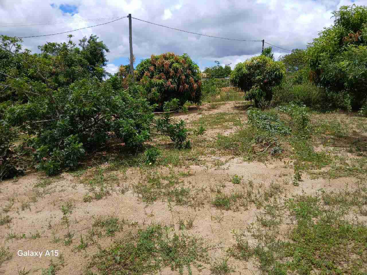 Sítio à Venda, zona Rural , São Sebastião do Passé, BA - foto 20