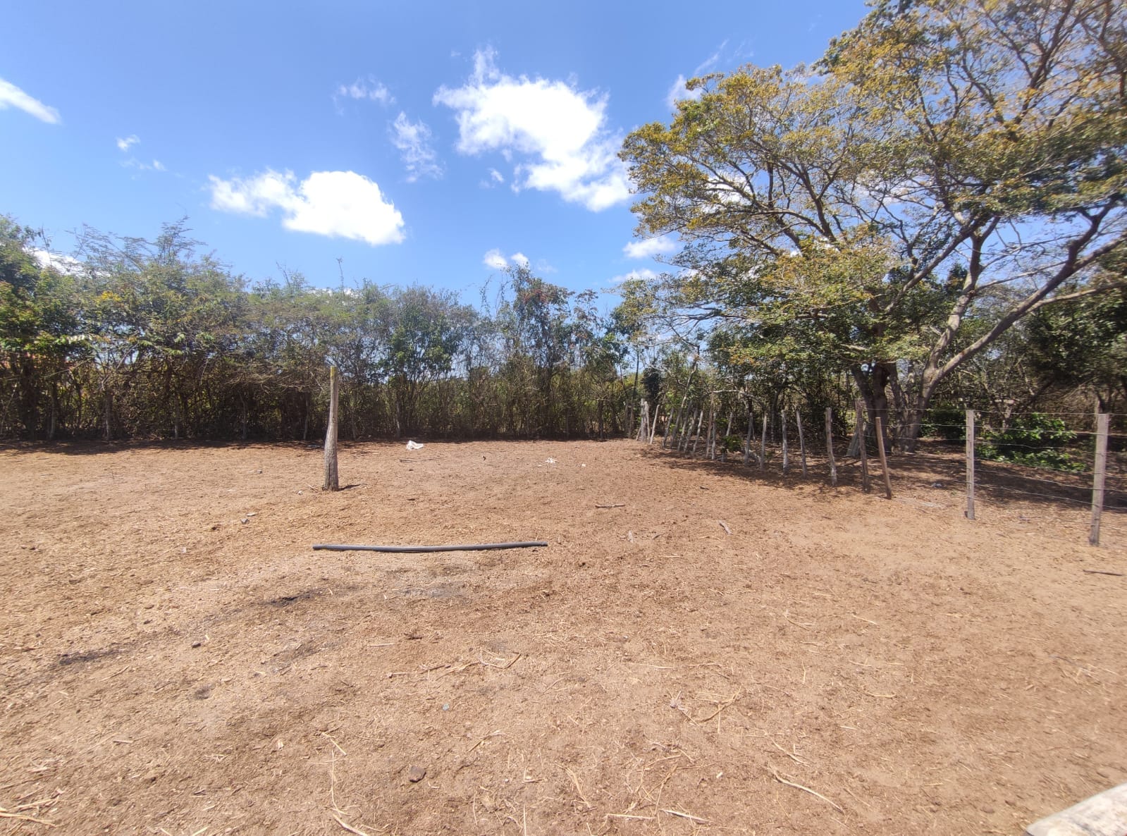 Sítio a venda na Lagoa das Flores com 2 casas, árvores frutíferas, poço artesiano, irrigação, baías para cavalos, tanque de peixe. Pertinho da ci - foto 21