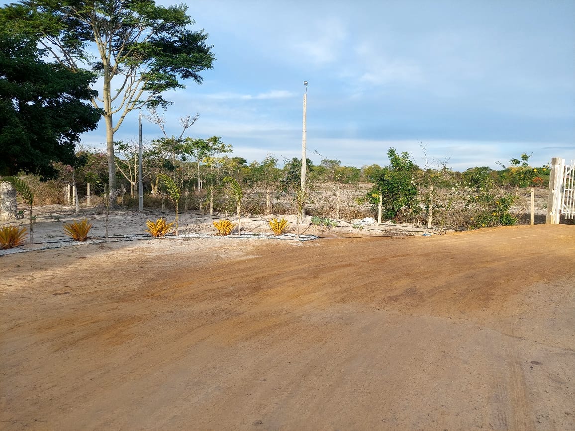 VENDO OU TROCO Sítio de 20 mil m² dentro de cond. fechado já com cerca, no Terra Estância das Rosas ao lado do Haras Residence  em Vitória da Con - foto 21