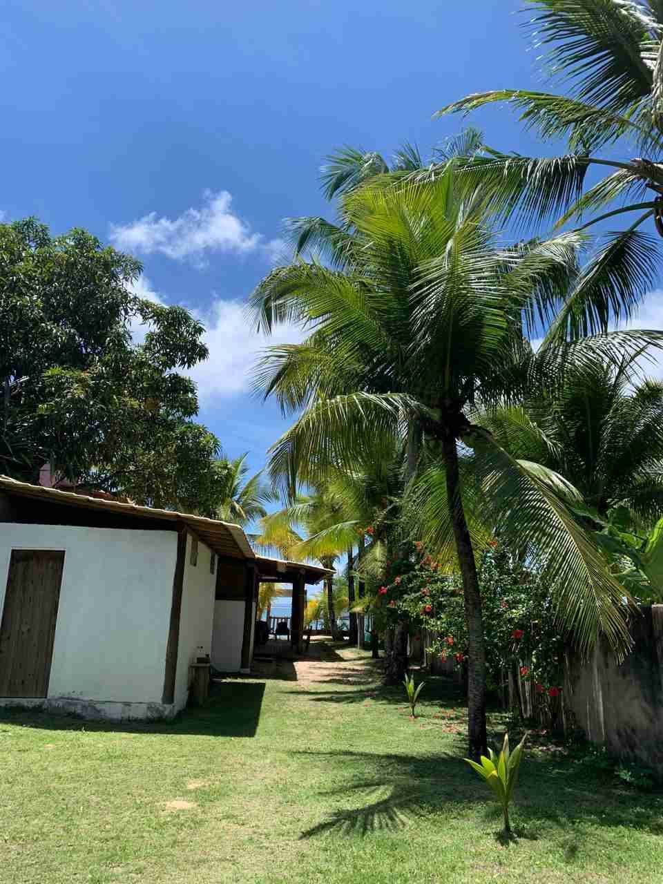 Casa, terreno à Venda Em Barra Grande, Vila, Maraú, BA - foto 20