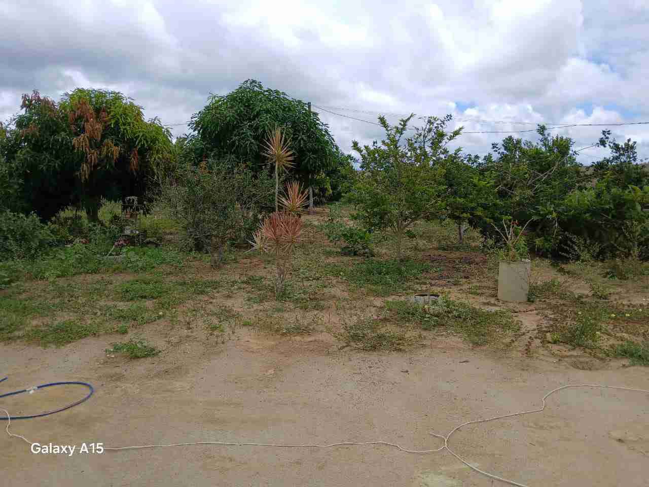 Sítio à Venda, zona Rural , São Sebastião do Passé, BA - foto 22