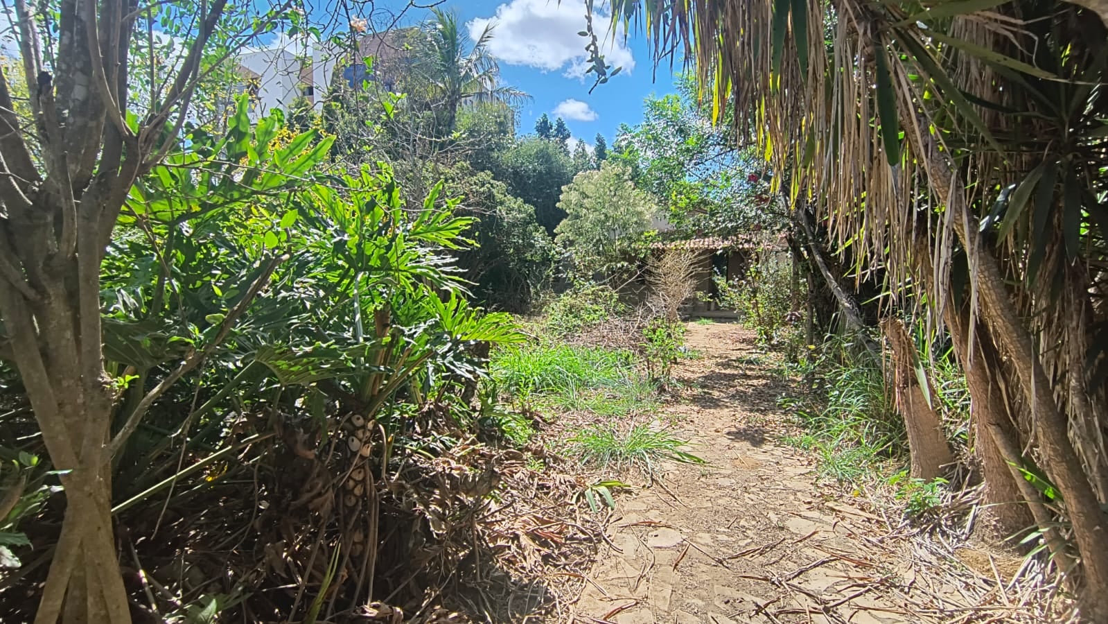 OPORTUNIDADE - Terreno de 1.000m² contendo uma casa de aprox. 140mts em fase de construção, situado no Alto do Boa Vista em Vitória da Conquista- - foto 2
