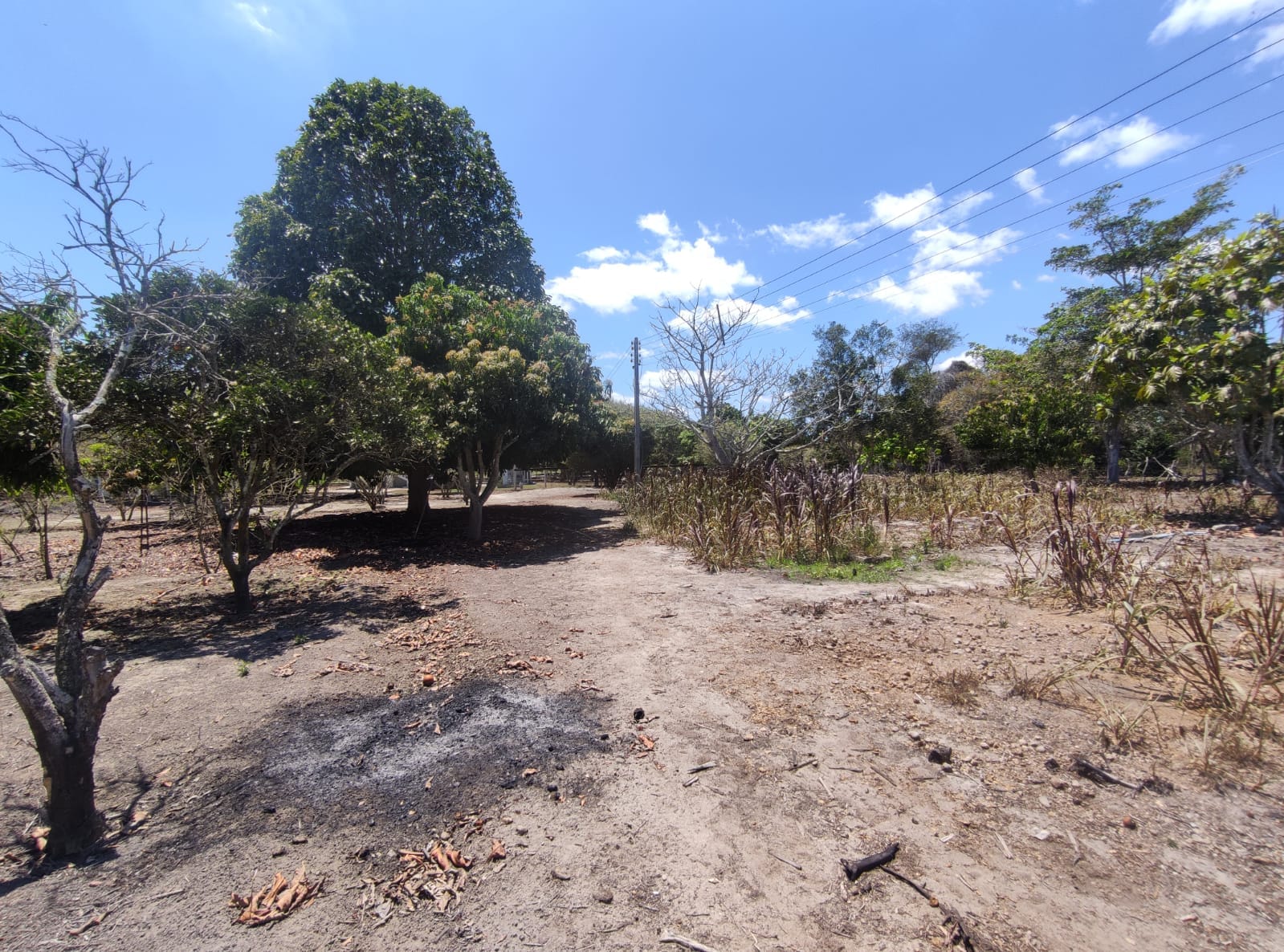 Sítio a venda na Lagoa das Flores com 2 casas, árvores frutíferas, poço artesiano, irrigação, baías para cavalos, tanque de peixe. Pertinho da ci - foto 22