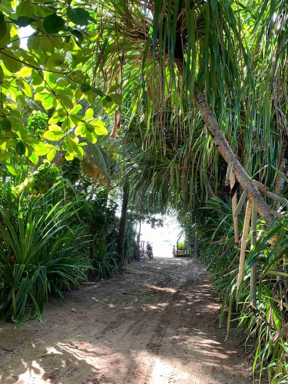 Casa, terreno à Venda Em Barra Grande, Vila, Maraú, BA - foto 22
