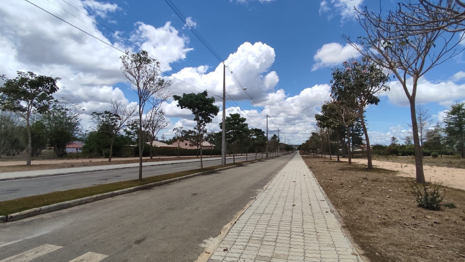 Oportunidade - Terreno de 800Mts no Haras Camping Club - foto 2