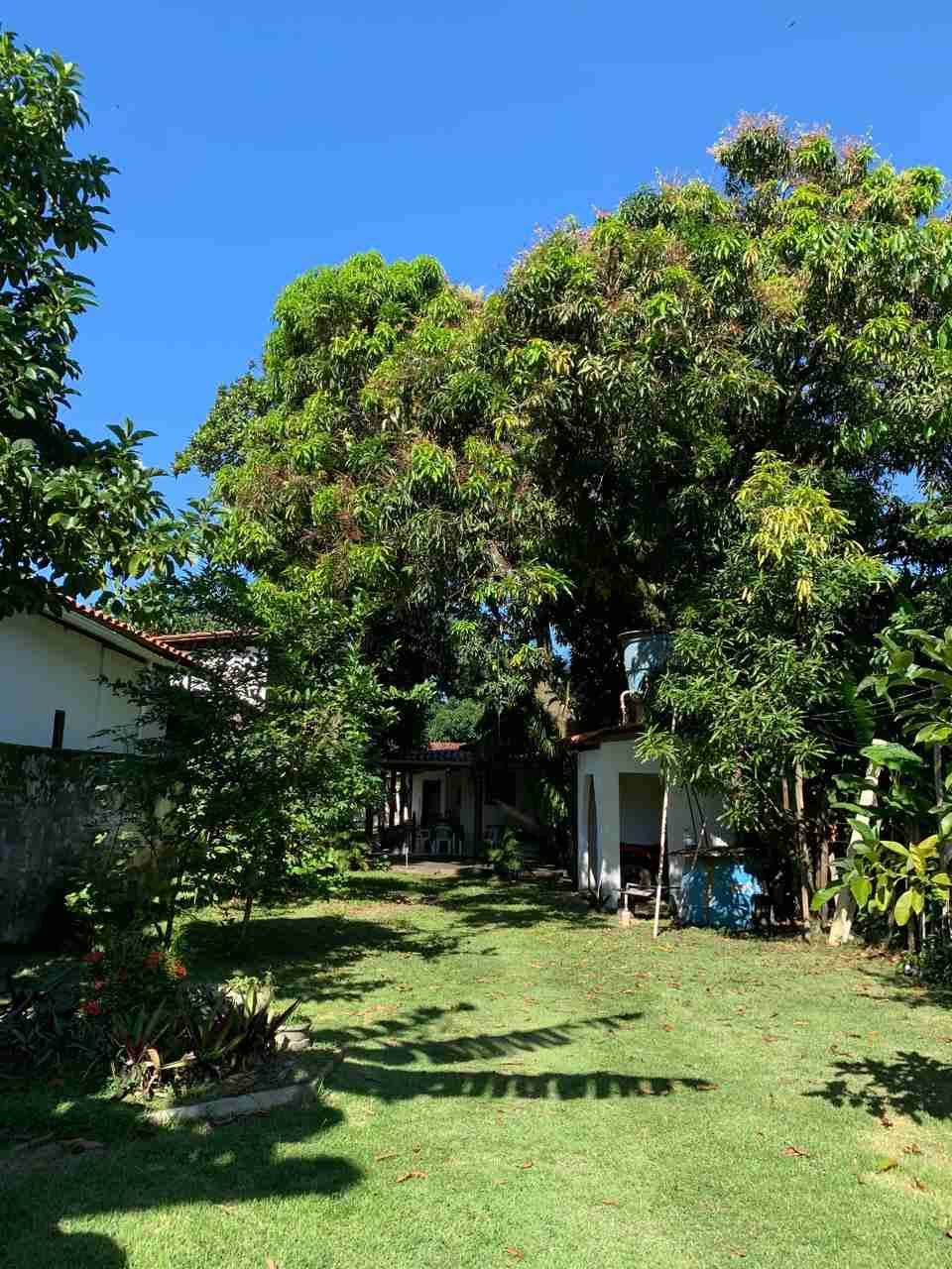 Casa, terreno à Venda Em Barra Grande, Vila, Maraú, BA - foto 23