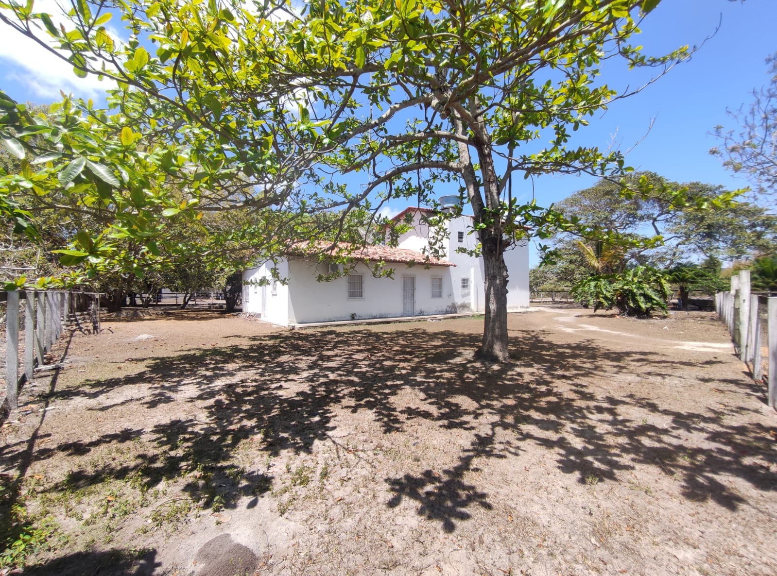 Sítio a venda na Lagoa das Flores com 2 casas, árvores frutíferas, poço artesiano, irrigação, baías para cavalos, tanque de peixe. Pertinho da ci - foto 3