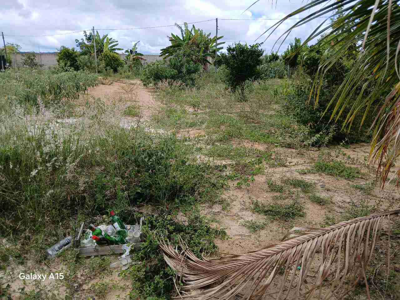 Sítio à Venda, zona Rural , São Sebastião do Passé, BA - foto 24