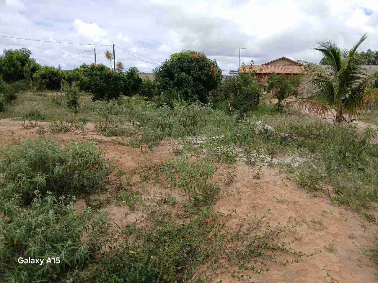 Sítio à Venda, zona Rural , São Sebastião do Passé, BA - foto 25